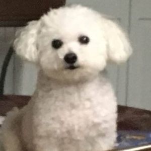 Meet your Posher, Joanna